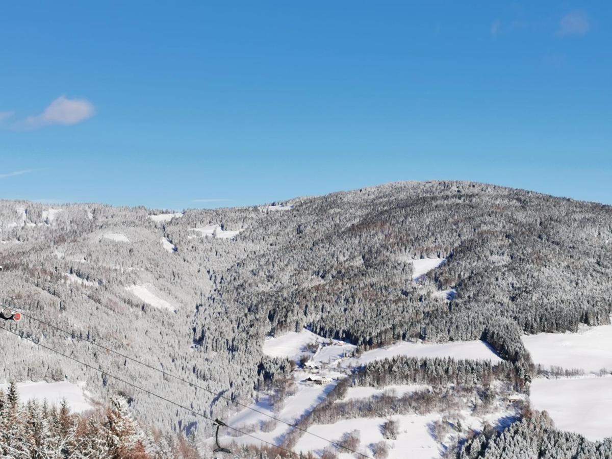 Alpengasthof Fernblick Mönichkirchen Exteriör bild
