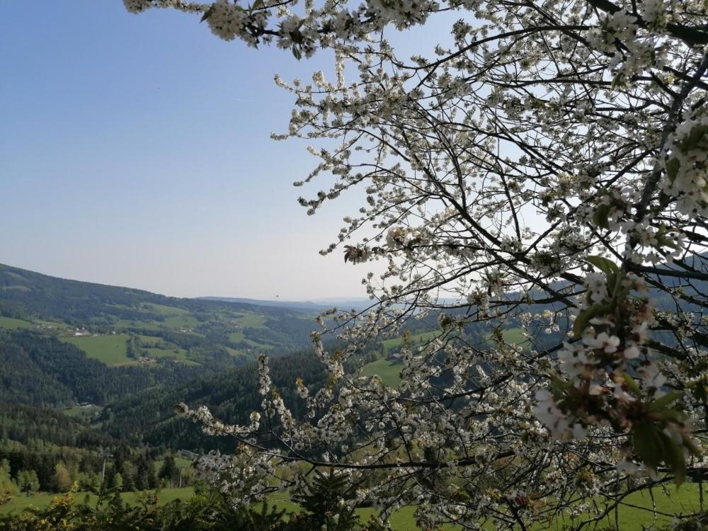 Alpengasthof Fernblick Mönichkirchen Exteriör bild